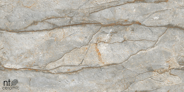 Керамогранит NT Ceramic Marmo Forest carving 60x120