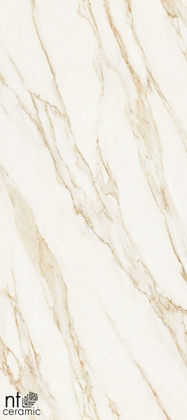 Керамогранит NT Ceramic Atlas Home Arabesco Gold 120x270