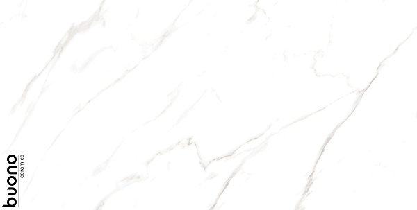 Керамогранит Buono Ceramica Marble Carrara Livia glossy 60x120