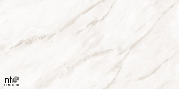 Керамогранит NT Ceramic Marmo Empire Pearl Endless 60x120