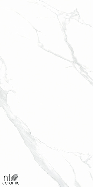 Керамогранит NT Ceramic Bright and Shiny Statuario 60x120