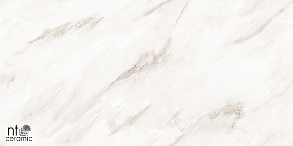 Керамогранит NT Ceramic Marmo Empire Pearl Endless 60x120