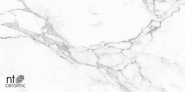 Керамогранит NT Ceramic Infinity Statuario 60x120