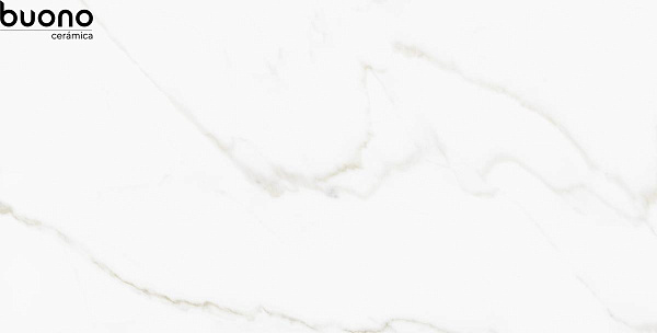 Керамогранит Buono Ceramica Marble Omega Exotica glossy 60x120