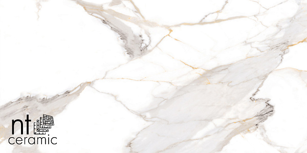 Керамогранит NT Ceramic Bright and Shiny Calacatta Light Grey matt 60x120