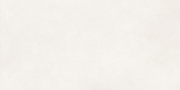 Керамогранит LCM Nevel White / Невел белый матовый 60x120