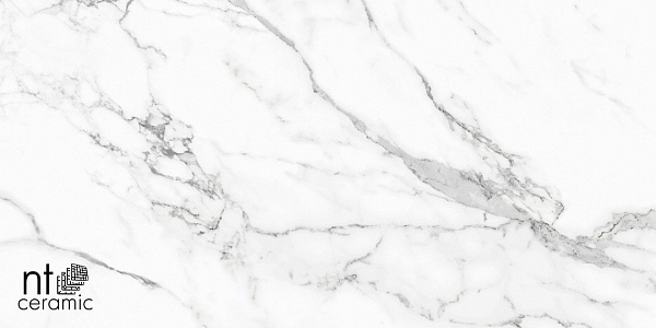 Керамогранит NT Ceramic Infinity Statuario 60x120
