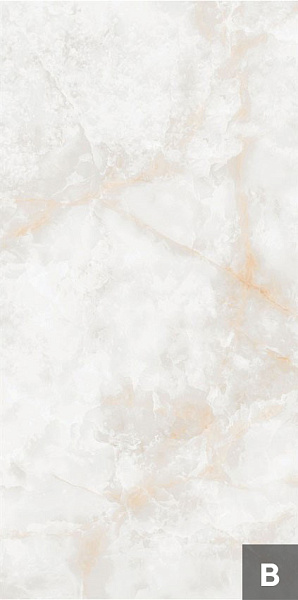Керамогранит NT Ceramic Atlas Wide Li Susu Dragon 120x240