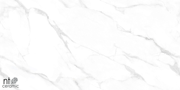 Керамогранит NT Ceramic Marmo Statuario Endless 60x120