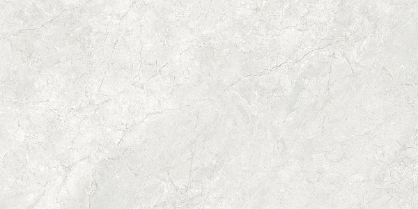 Керамогранит Artkera Group Armonia white / Армония белый 60x120
