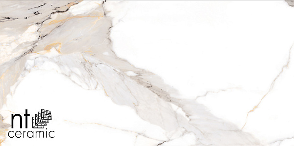 Керамогранит NT Ceramic Bright and Shiny Calacatta Light Grey matt 60x120
