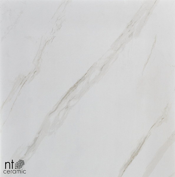 Керамогранит NT Ceramic Marmori NTT9401 60x60