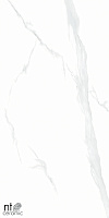 Керамогранит NT Ceramic Bright and Shiny Statuario 60x120