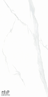 Керамогранит NT Ceramic Bright and Shiny Statuario 60x120