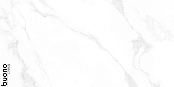 Керамогранит Buono Ceramica Marble Carrara Anita glossy 60x120
