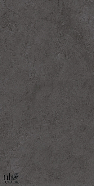 Керамогранит NT Ceramic Granite Obelisk Gris 60x120
