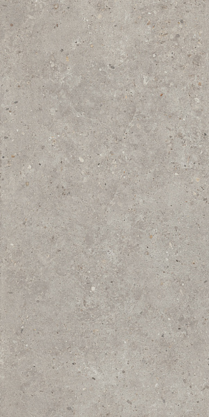 Керамогранит Kerama Marazzi Риккарди серый светлый матовый обрезной 600x1195