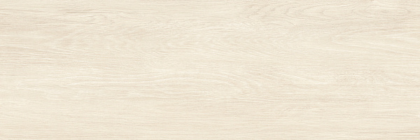 Плитка Alma Ceramica Patio TWU3090PAT04R матовая 30x90