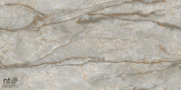 Керамогранит NT Ceramic Marmo Forest carving 60x120