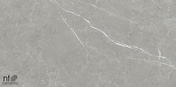 Керамогранит NT Ceramic Pietra NTT1102 60x60