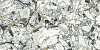 Керамогранит Atlas Concorde Forte Dei Marmi Quark Ceppi Apuani Forest lappato 80x160