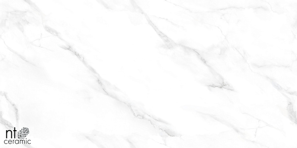Керамогранит NT Ceramic Marmo Statuario Endless 60x120