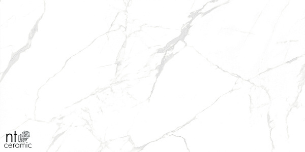 Керамогранит NT Ceramic Marmo Callacata carving 60x60