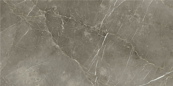 Керамогранит Italon Stellaris Tuscania Grey натуральный 60x120