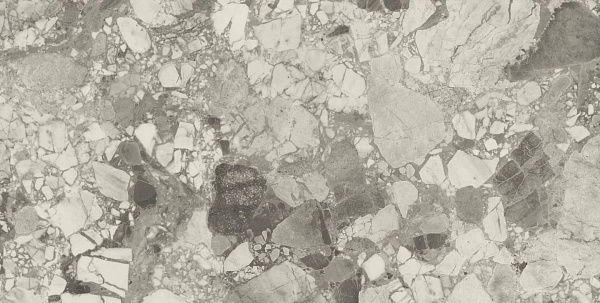 Керамогранит Atlas Concorde Forte Dei Marmi Ceppo Apuano Pearl lappato 80x160