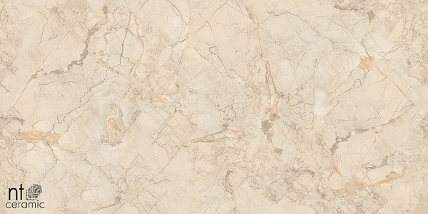 Керамогранит NT Ceramic Marmo Ivory Endless 60x60