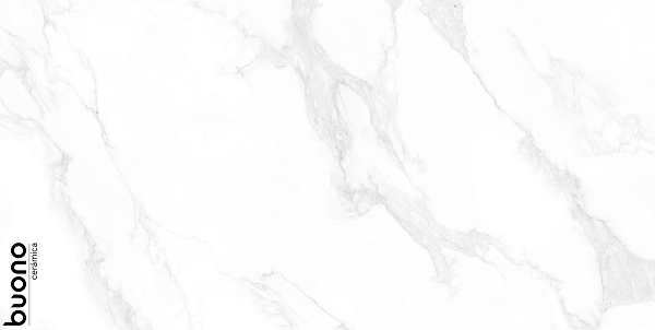 Керамогранит Buono Ceramica Marble Carrara Anita glossy 60x120