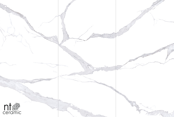 Керамогранит NT Ceramic Atlas Wide Bianco Statuario 120x240