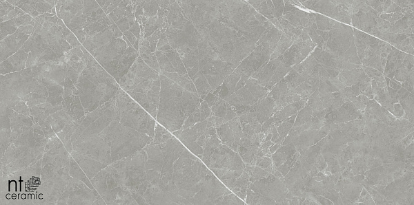 Керамогранит NT Ceramic Pietra NTT1102 60x60