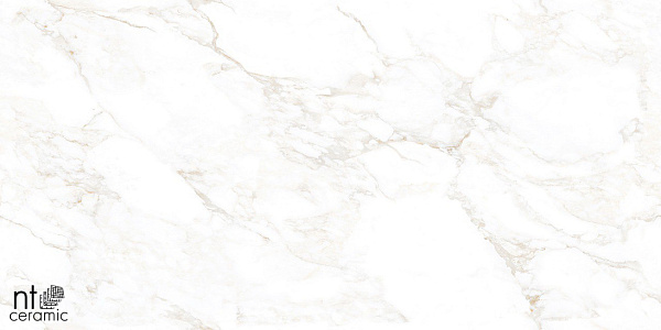 Керамогранит NT Ceramic Marmo Marble Extra Endless 60x120