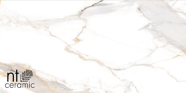 Керамогранит NT Ceramic Bright and Shiny Calacatta Light Grey matt 60x120