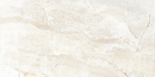 Керамогранит Buono Ceramica Queen Selenite Gypsum matt 60x120