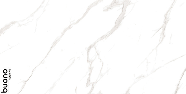 Керамогранит Buono Ceramica Marble Carrara Livia glossy 60x120