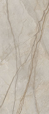 Керамогранит Italon Stellaris Elegant Silver натуральный 120x278