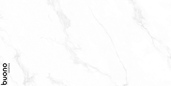Керамогранит Buono Ceramica Marble Carrara Anita glossy 60x120