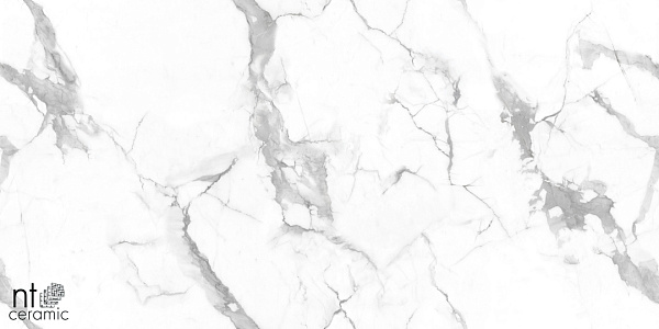 Керамогранит NT Ceramic Marmo Callacata Endless matt 60x60