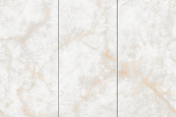 Керамогранит NT Ceramic Atlas Wide Li Susu Dragon 120x240