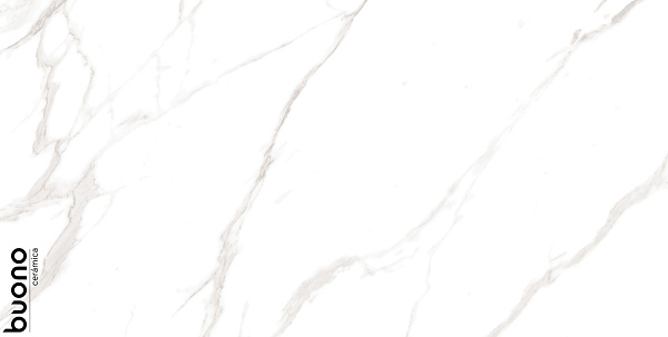 Керамогранит Buono Ceramica Marble Carrara Livia glossy 60x120