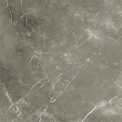 Керамогранит Italon Stellaris Tuscania Grey натуральный 120x120