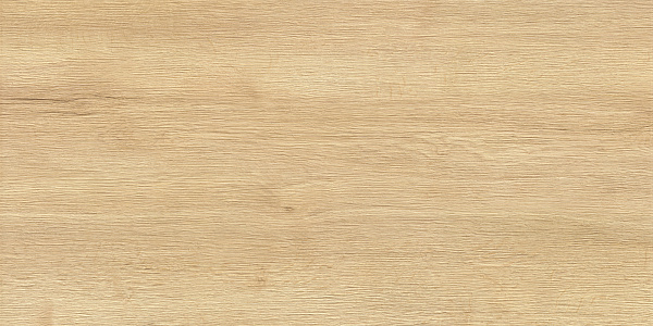 Керамогранит LCM Liam Light / Лиам светлый матовый 60x120