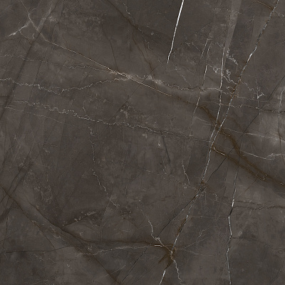 Керамогранит Laparet Timeless Marrone коричневый матовый карвинг 59,5x59,5