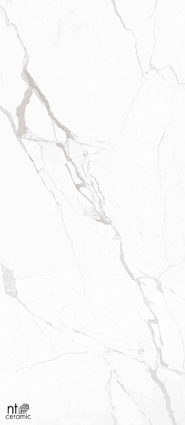 Керамогранит NT Ceramic Atlas Home Marble White 120x280