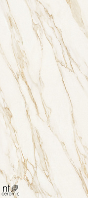 Керамогранит NT Ceramic Atlas Home Arabesco Gold 120x270