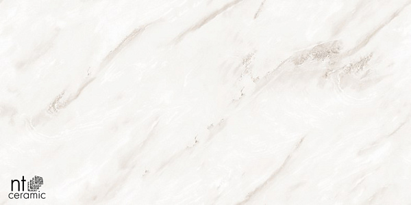 Керамогранит NT Ceramic Marmo Empire Pearl Endless 60x120