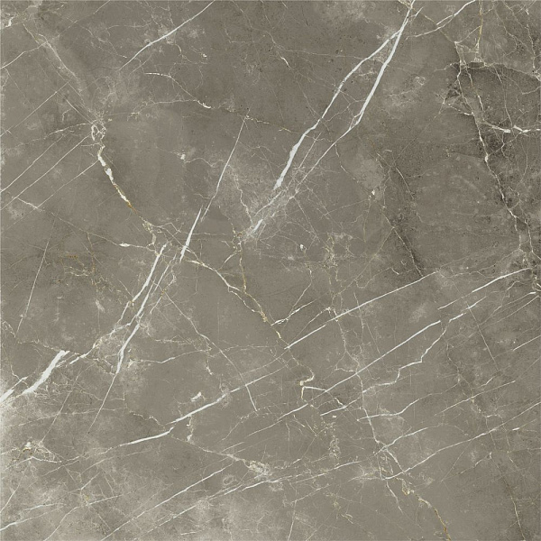 Керамогранит Italon Stellaris Tuscania Grey натуральный 120x120