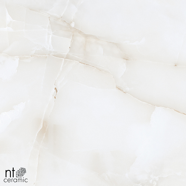 Керамогранит NT Ceramic Onyx Majestic 60x60